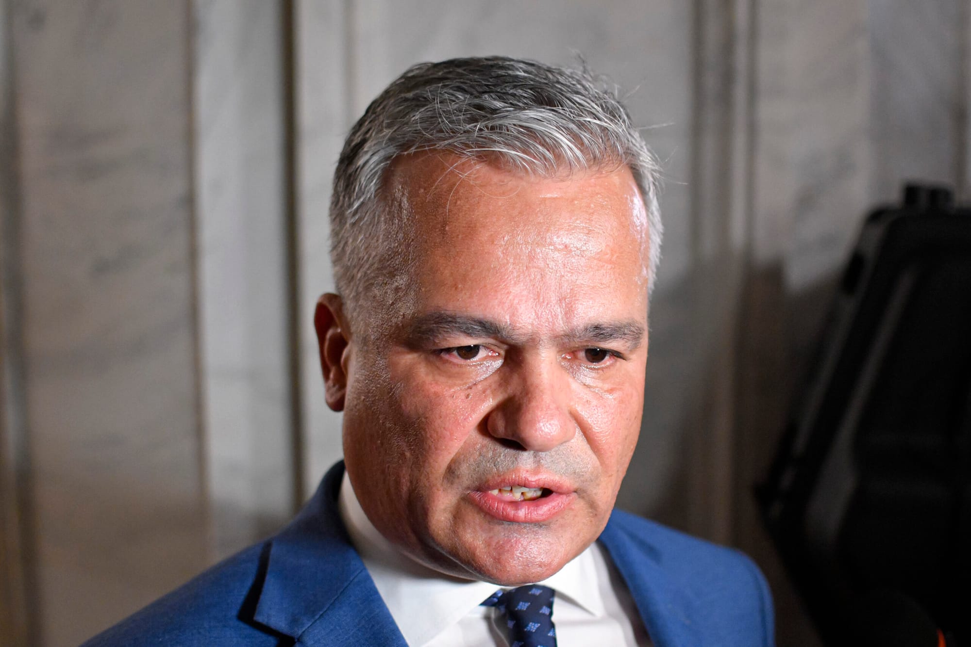 Solicitări de organizare a alegerilor interne în PNL