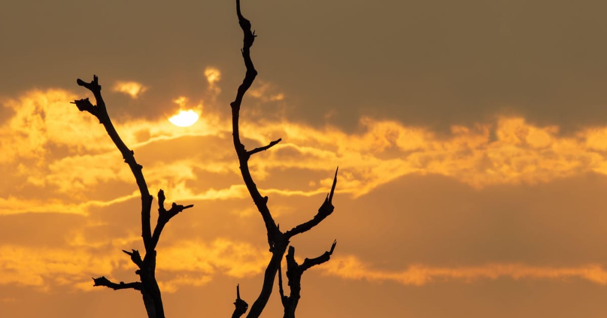 Impactul fenomenului climatic El Niño la nivel global