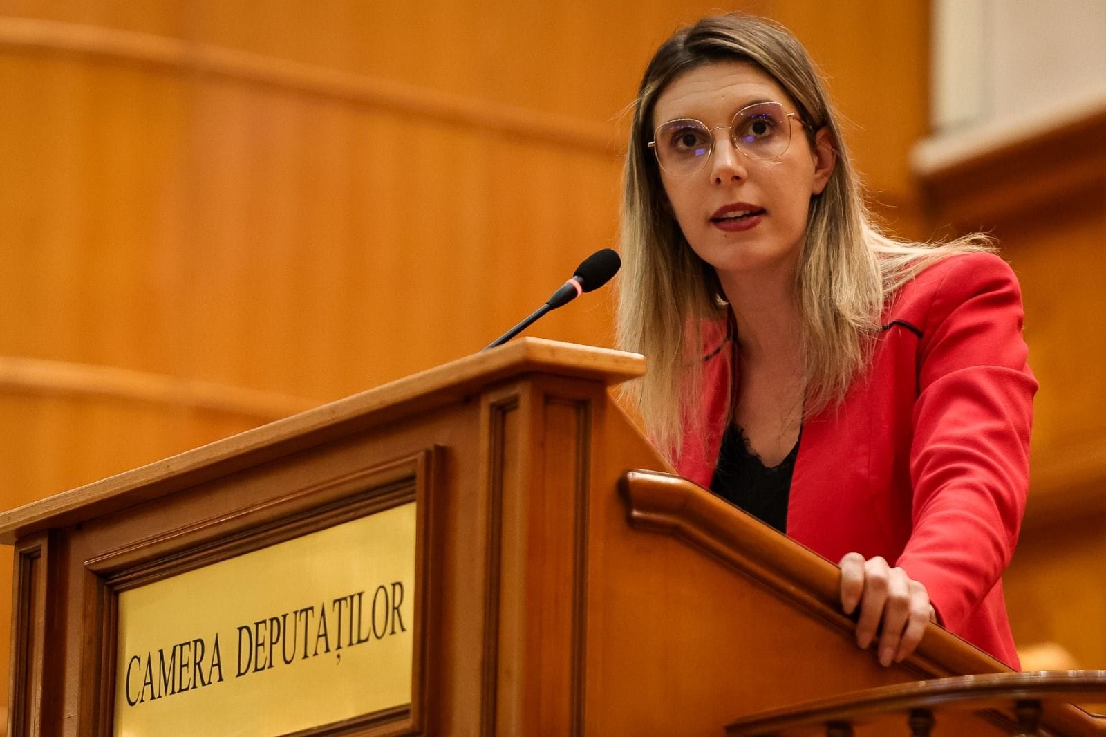 Rezultatul audierilor pentru conducerea Ministerului Mediului
