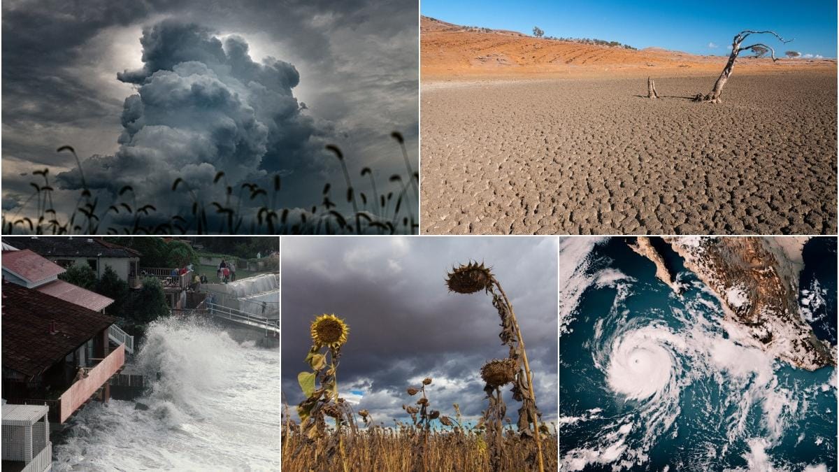Impactul fenomenului El Niño asupra climei globale