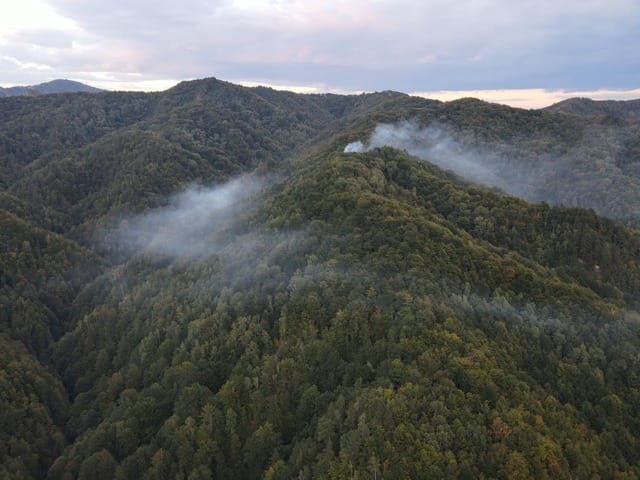 Intervenții pentru stingerea unui incendiu de pădure în Vâlcea