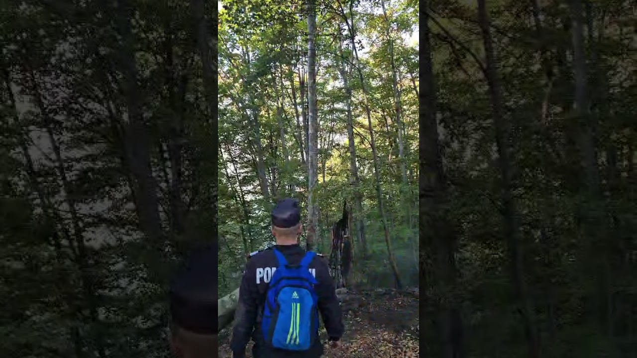 Intervenția pompierilor în fondul forestier din Băile Olănești