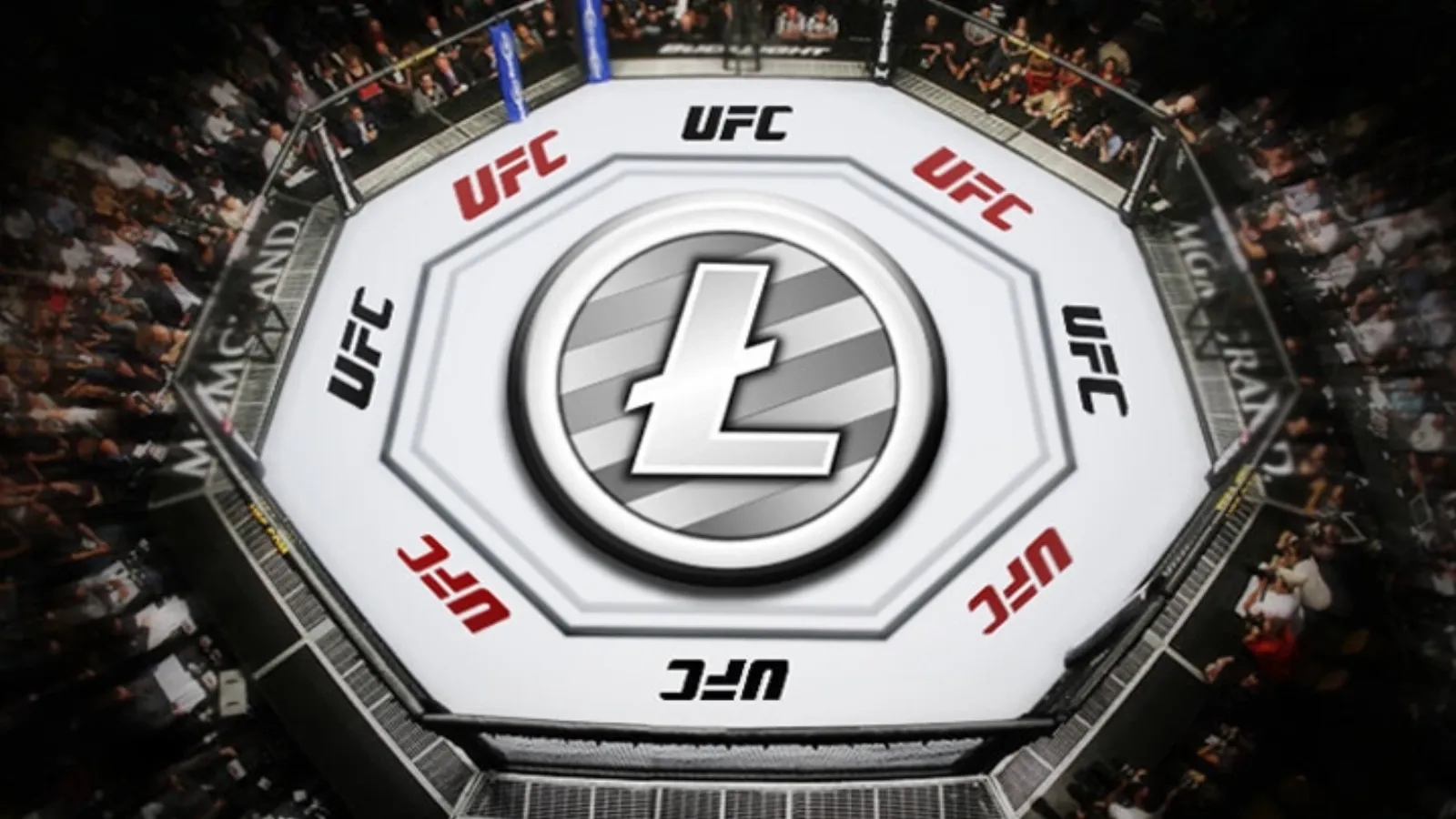 Debutul unui polițist în cadrul organizației UFC