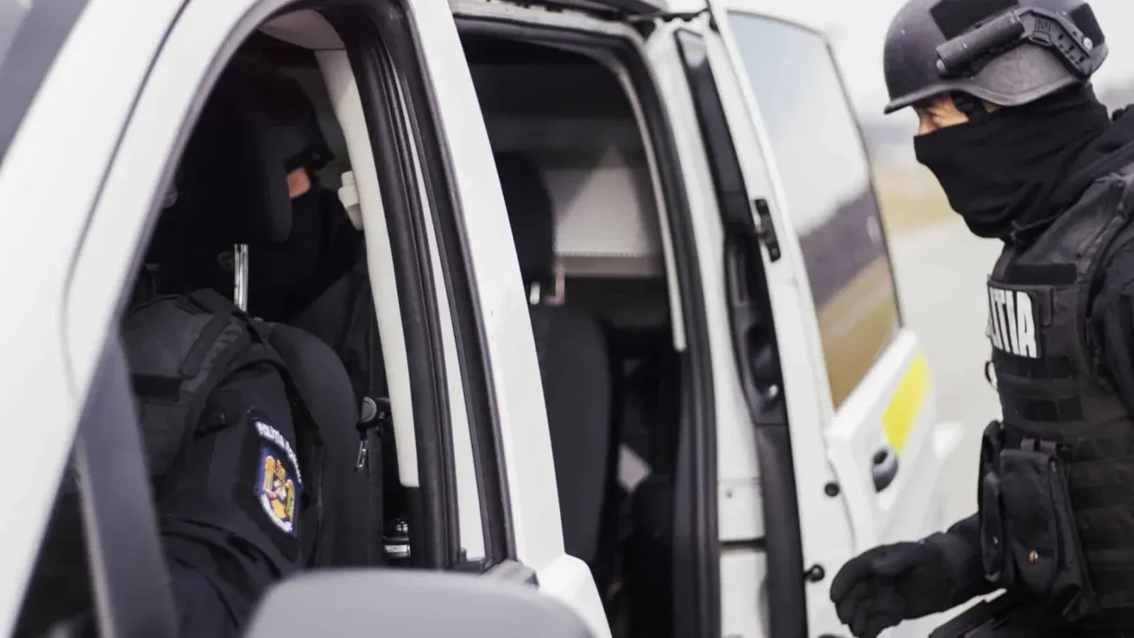 Anchetă privind exploatarea ilegală a lemnului în județul Neamț