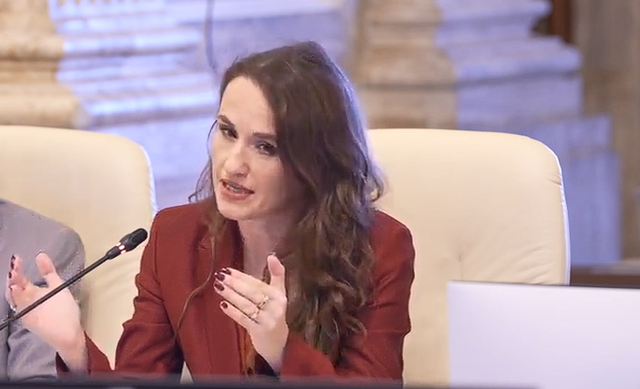 Audierile parlamentare pentru conducerea Ministerului Afacerilor Externe