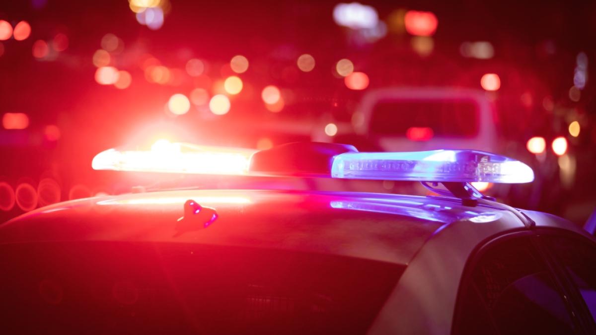 Controverse privind reorganizarea Poliției Locale