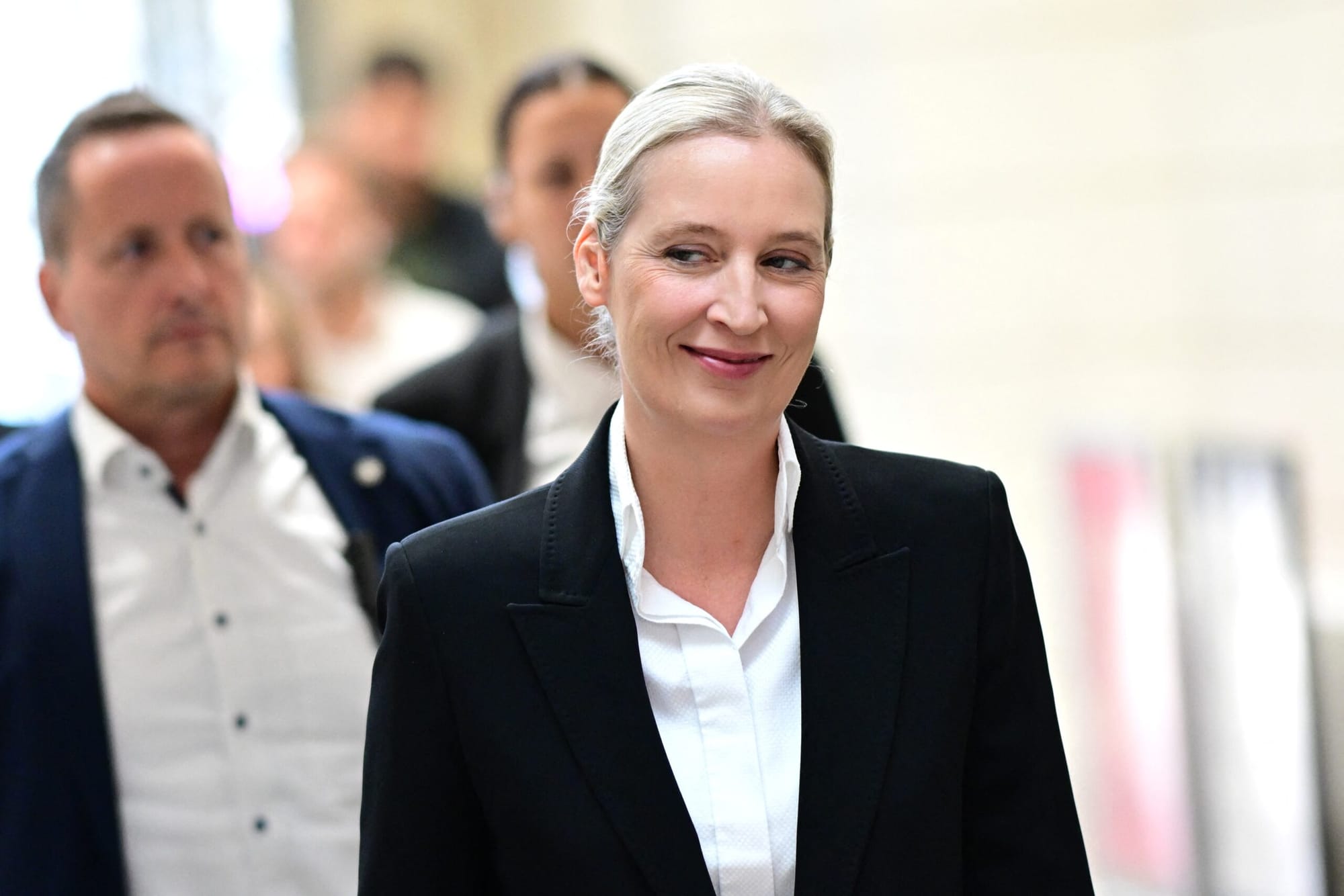 Strategia AfD pentru remodelarea Uniunii Europene