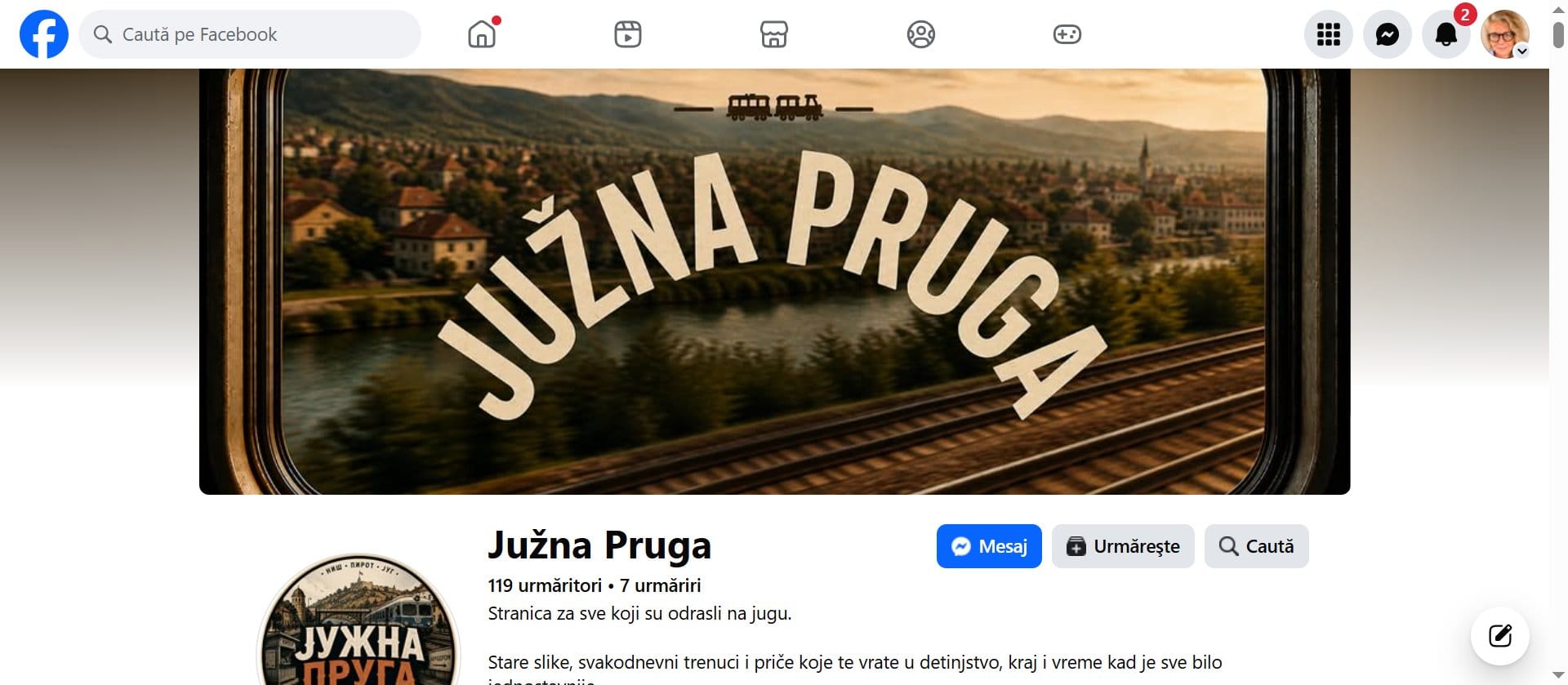 Investigație privind reclamele politice netransparente din Serbia