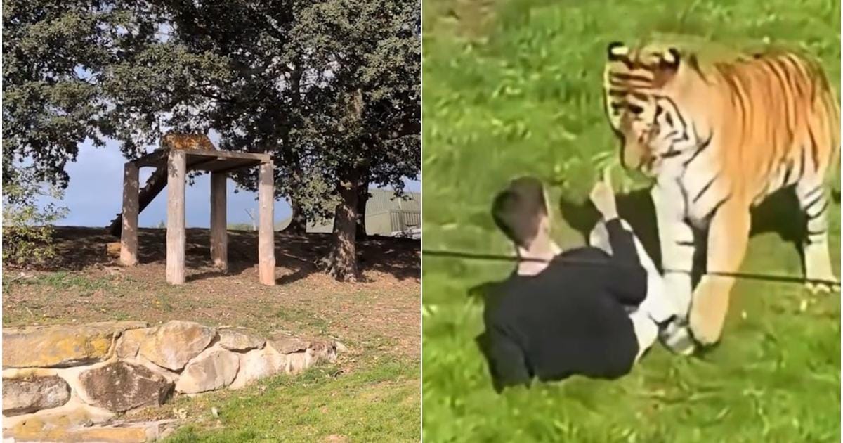 Incidentul fatal din parcul zoologic Yorkshire Wildlife Park