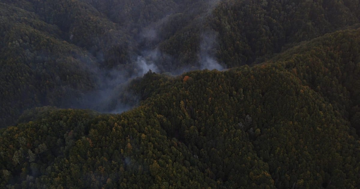 Intervenții masive pentru stingerea incendiilor din Caraș-Severin și Vâlcea