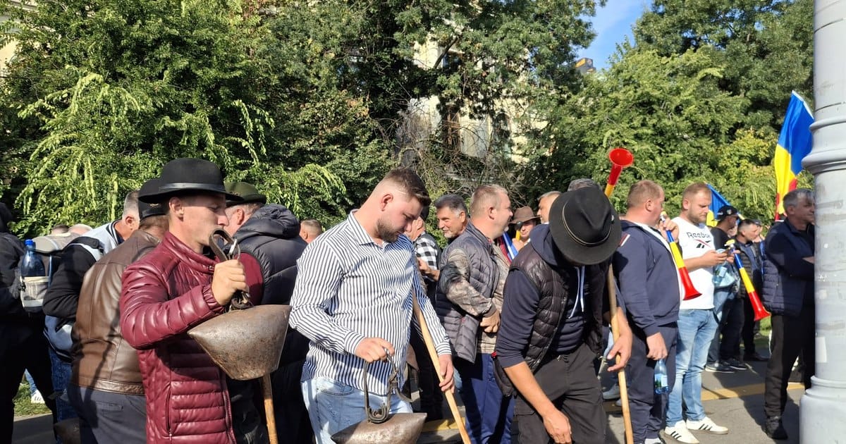 Conflictul dintre MAI și crescătorii de ovine