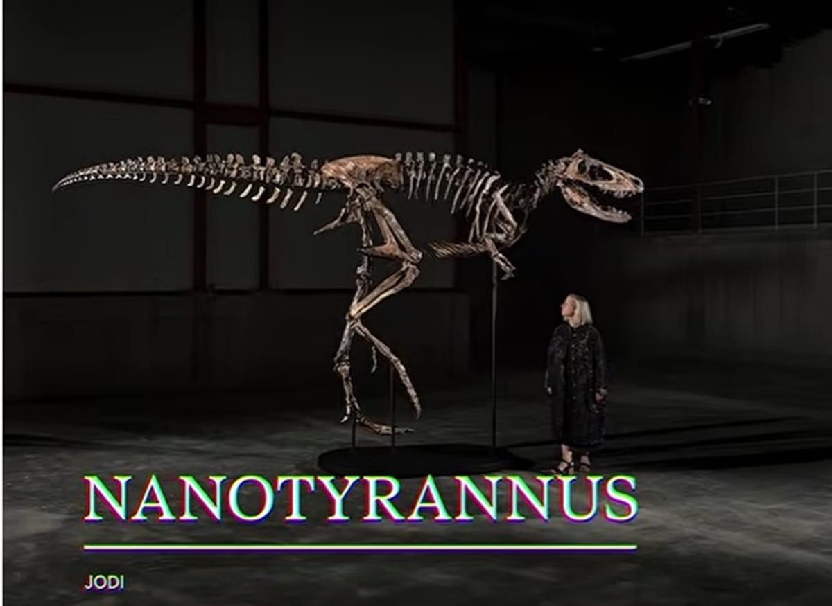 Licitație pentru schelet de dinozaur în New York