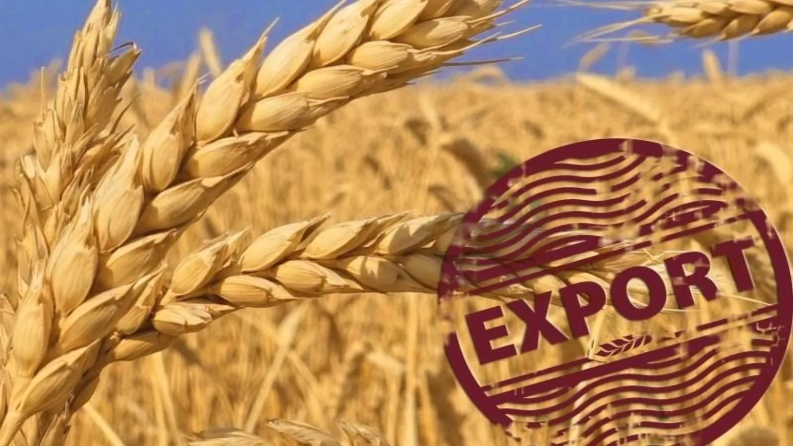 Rusia caută rute alternative pentru exportul de cereale