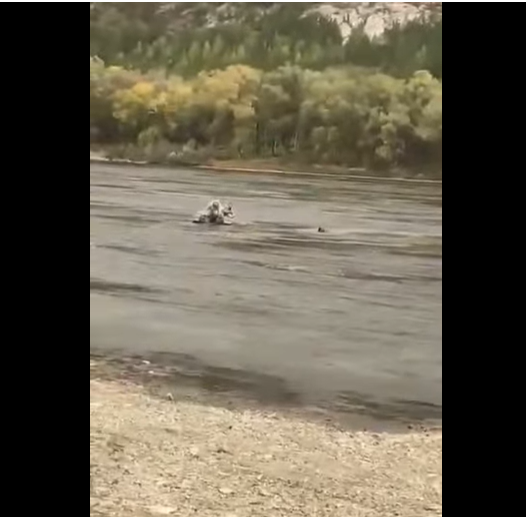Incident la frontiera dintre Ucraina și Republica Moldova
