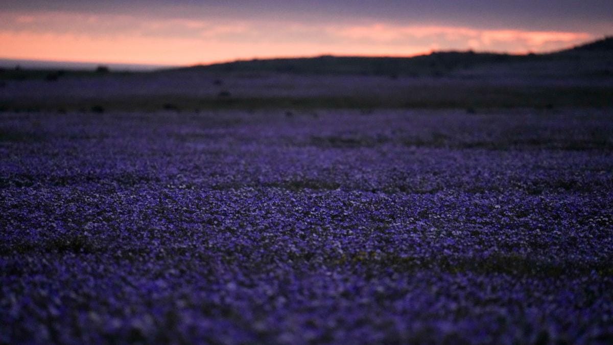 Transformarea peisajului în Deșertul Atacama