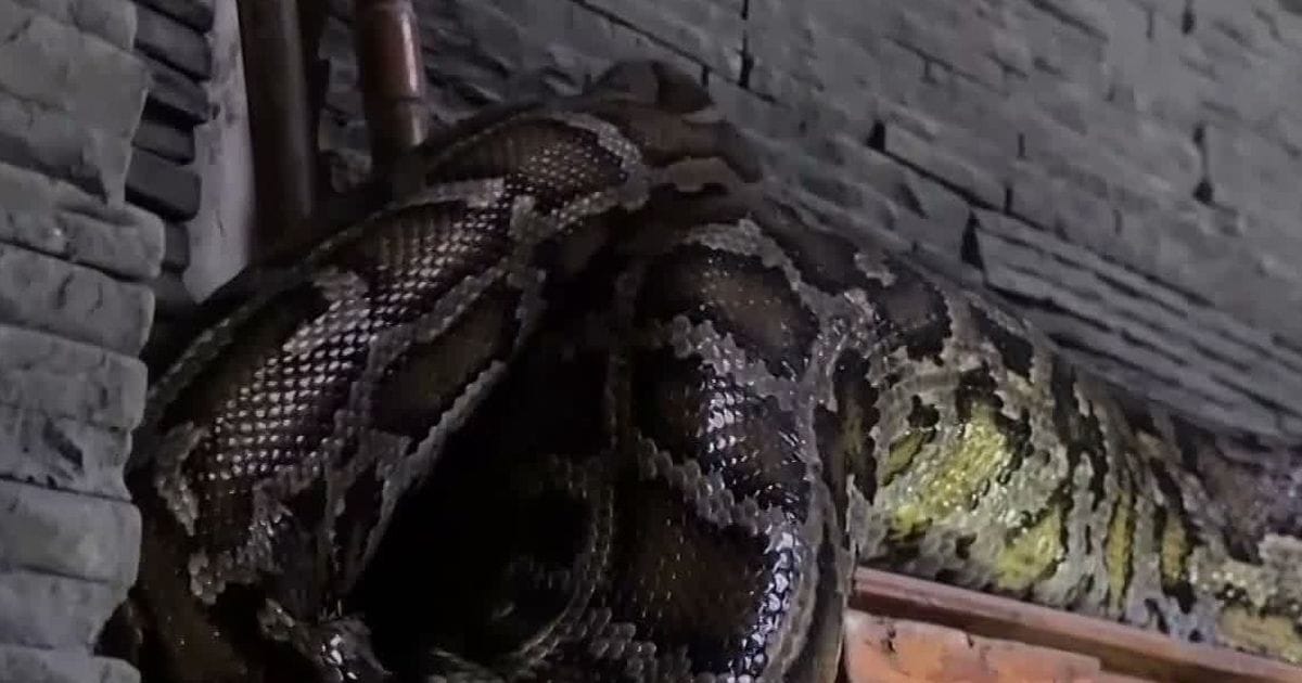 Controversă la Grădina Zoologică din Sibiu privind hrănirea reptilelor