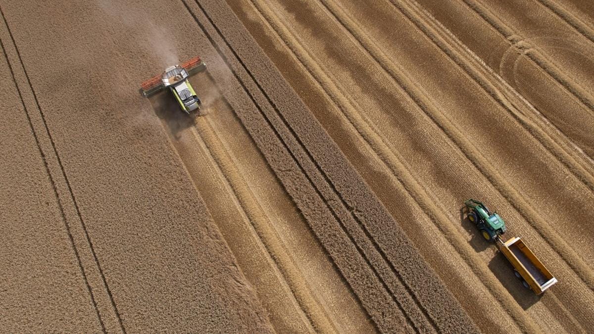 Condiții ucrainene privind accesul agricol pentru aderarea la UE