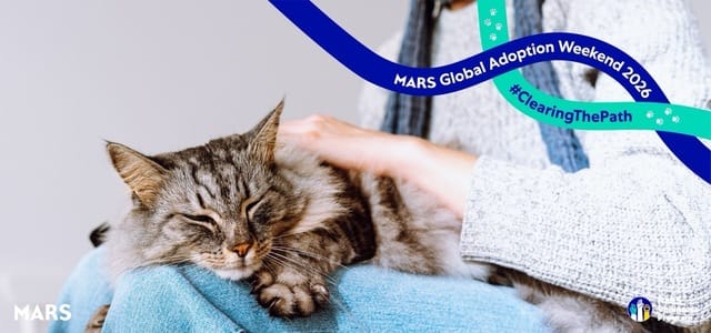 Mars lansează o platformă pentru sprijinirea adopției animalelor