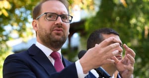 Solicitarea USR privind organizarea alegerilor anticipate