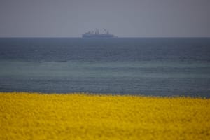 Întâlnire între președintele României și conducerea grupului OMV