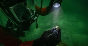 Descoperire arheologică subacvatică în largul coastelor Egiptului