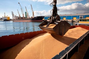 Noi reguli pentru transportul cerealelor în Portul Constanța