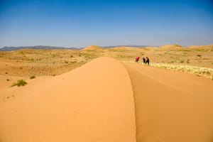 Fenomenul de înflorire în Deșertul Atacama
