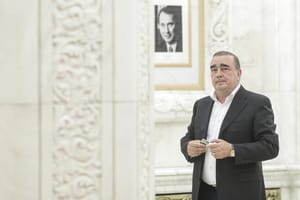 Nouă sancțiuni pentru ferma de bovine din județul Dolj
