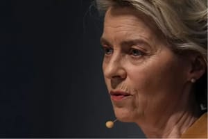 Reacția Comisiei Europene privind incidentele maritime din Marea Neagră