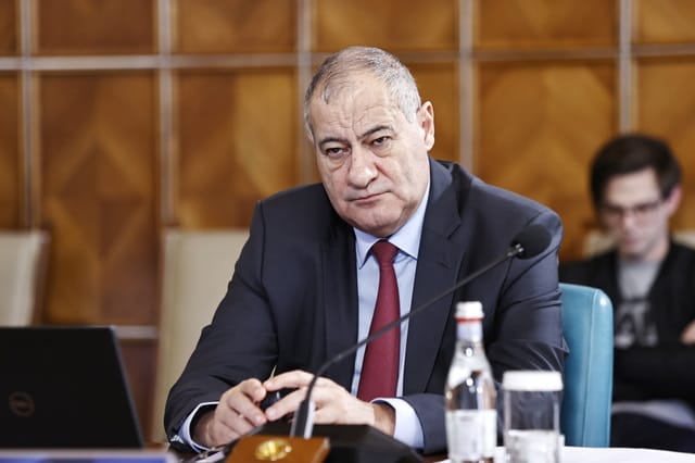 Propunerea PSD pentru Ministerul Afacerilor Interne