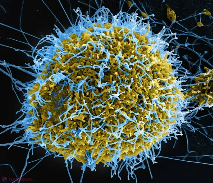 Extinderea epidemiei de Ebola în statele africane