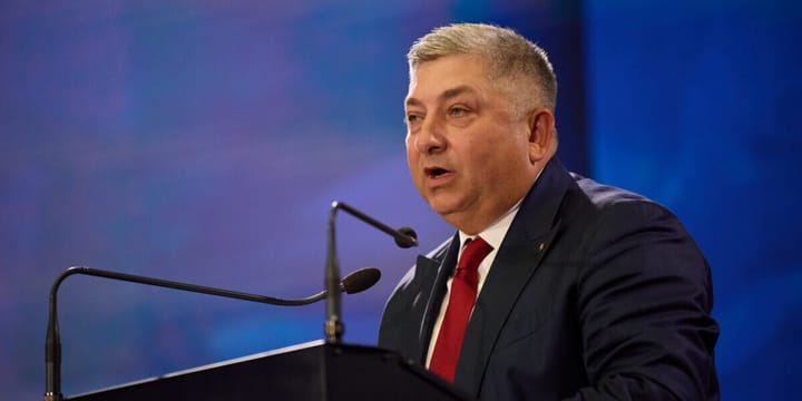 Tensiuni interne în PNL privind Guvernul Luca Niculescu