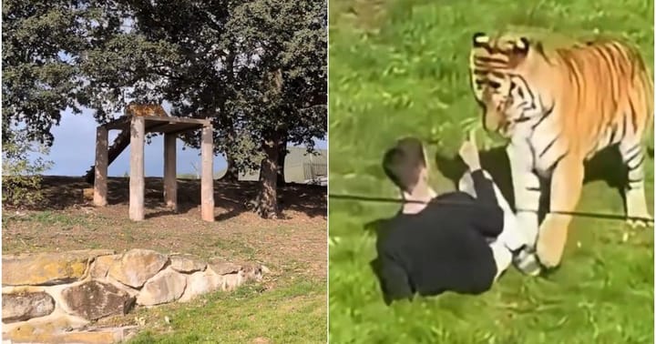 Incidentul fatal din parcul zoologic Yorkshire Wildlife Park