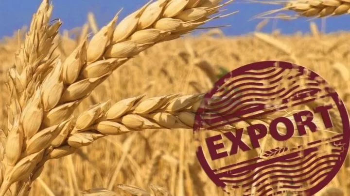 Rusia caută rute alternative pentru exportul de cereale