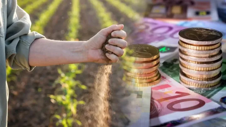 Riscurile finanțării agriculturii românești în perioada 2028-2034