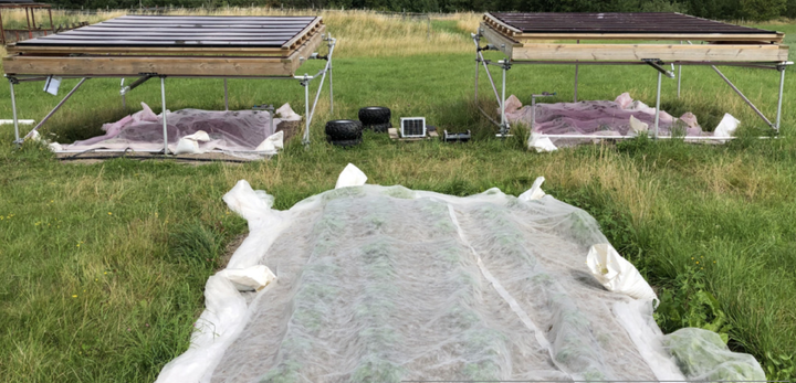 Experiment suedez privind utilizarea terenurilor agricole pentru energie