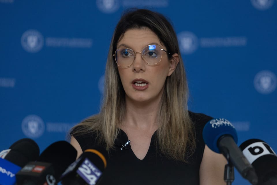 Discursul Dianei Buzoianu în Parlament privind învestirea Guvernului