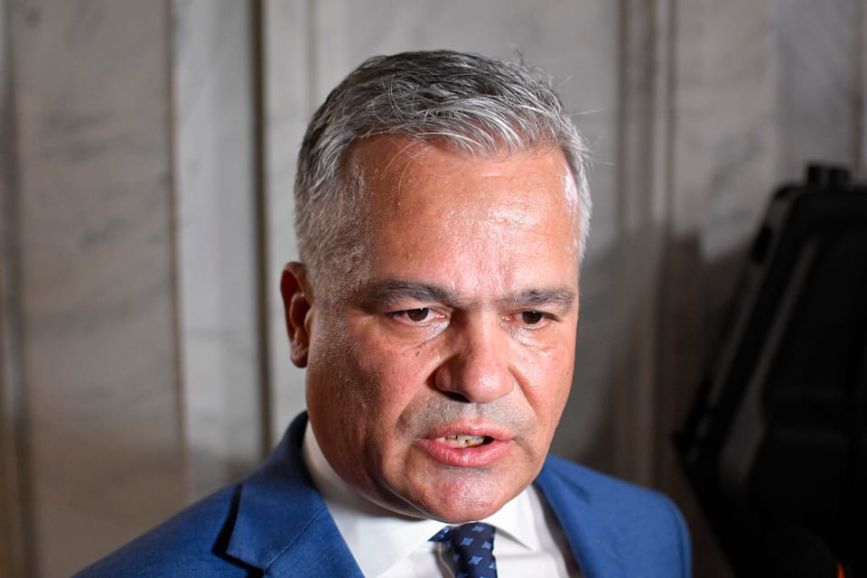 Solicitări de organizare a alegerilor interne în PNL