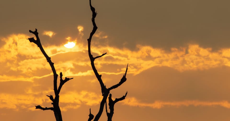 Impactul fenomenului climatic El Niño la nivel global