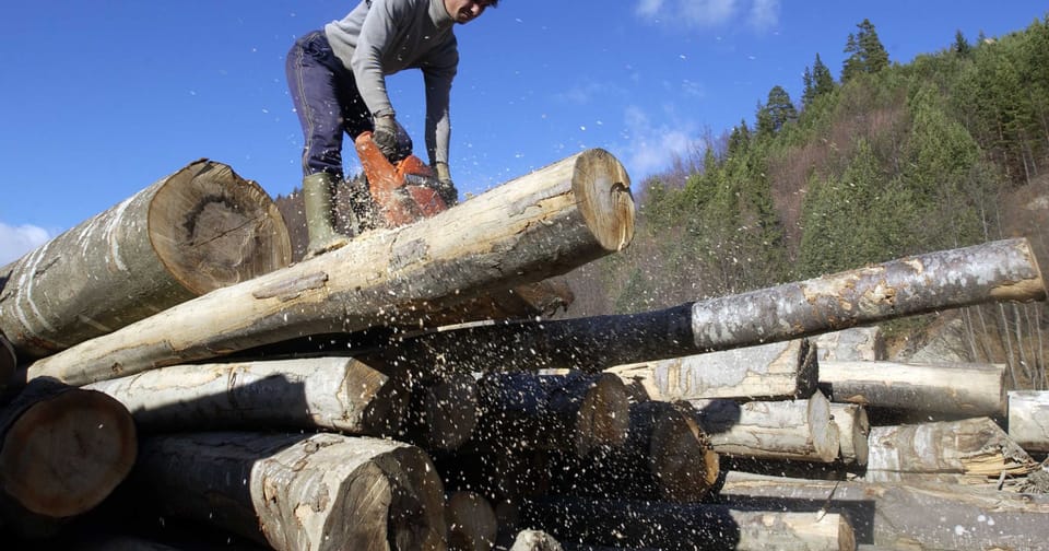 Evoluția volumului de lemn exploatat în România