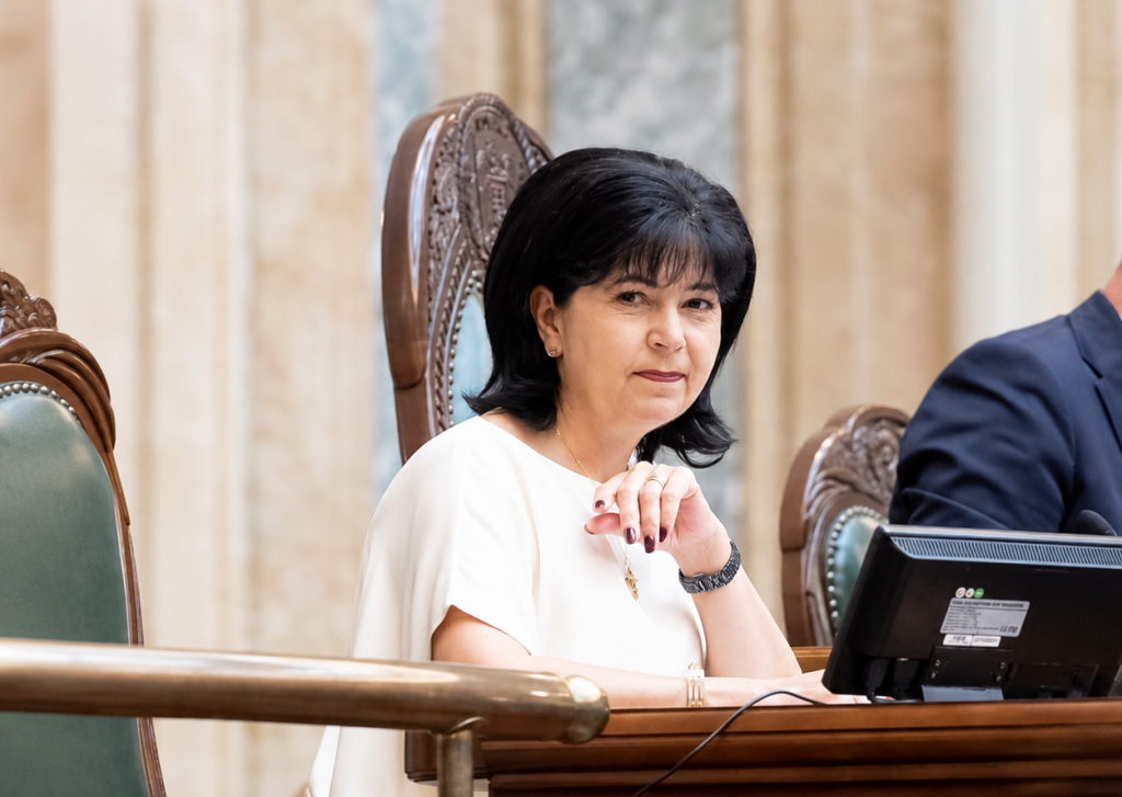 PSD critică gestionarea investițiilor în mediul rural