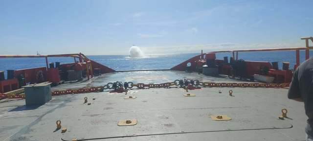 Intervenție de salvare în zona Sulina
