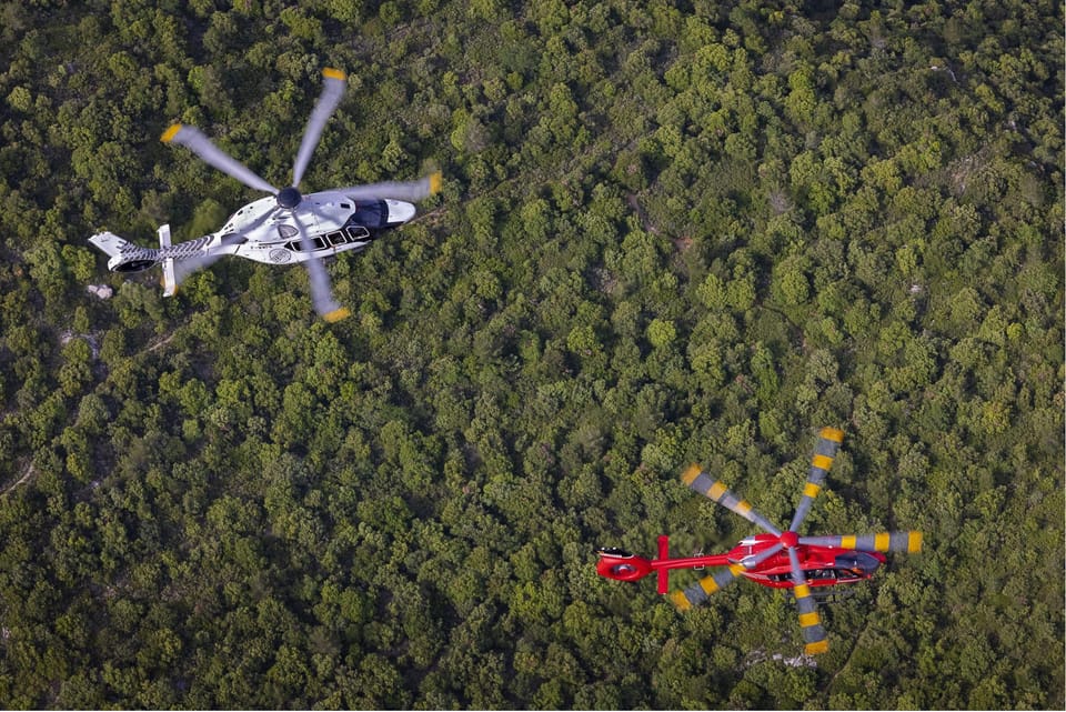 Consiliul Concurenței a avizat o tranzacție a grupului Airbus