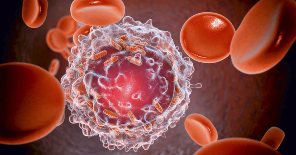 Analiza incidenței cancerului cu debut precoce în rândul tinerilor