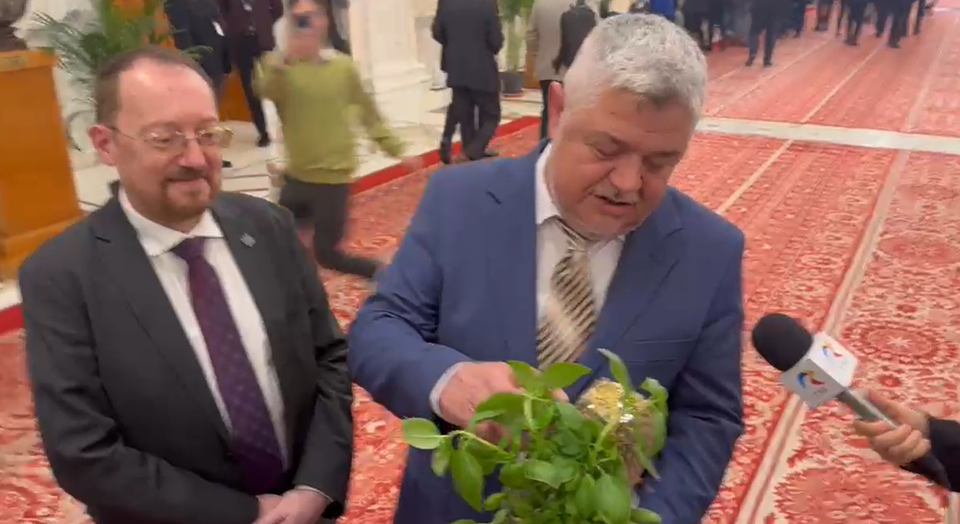 Incidente în Parlament înaintea votului pentru Guvernul Niculescu