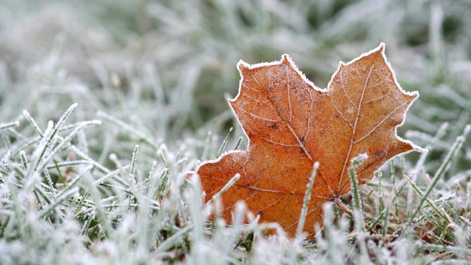 Temperaturi negative în județul Harghita
