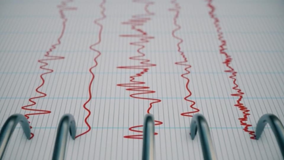 Seisme înregistrate în zona seismică Vrancea