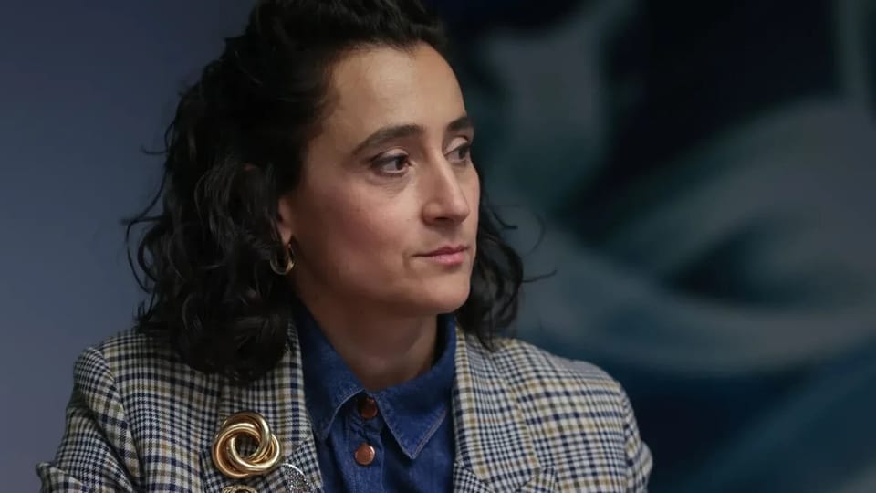 Nominalizarea pentru conducerea Ministerului Culturii în noul Guvern
