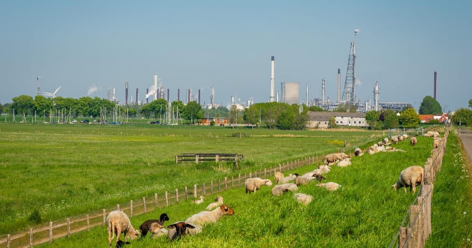 Planuri de extindere a infrastructurii energetice în Olanda