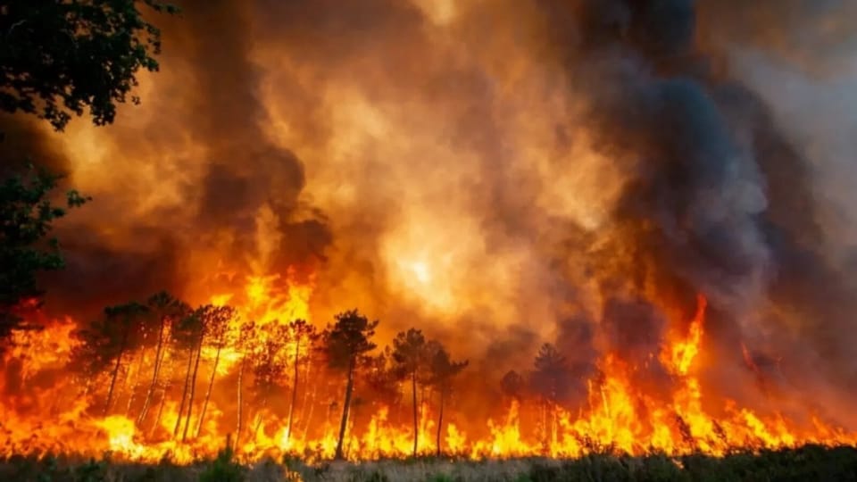 Ministerul Mediului actualizează normele de prevenire a incendiilor de pădure